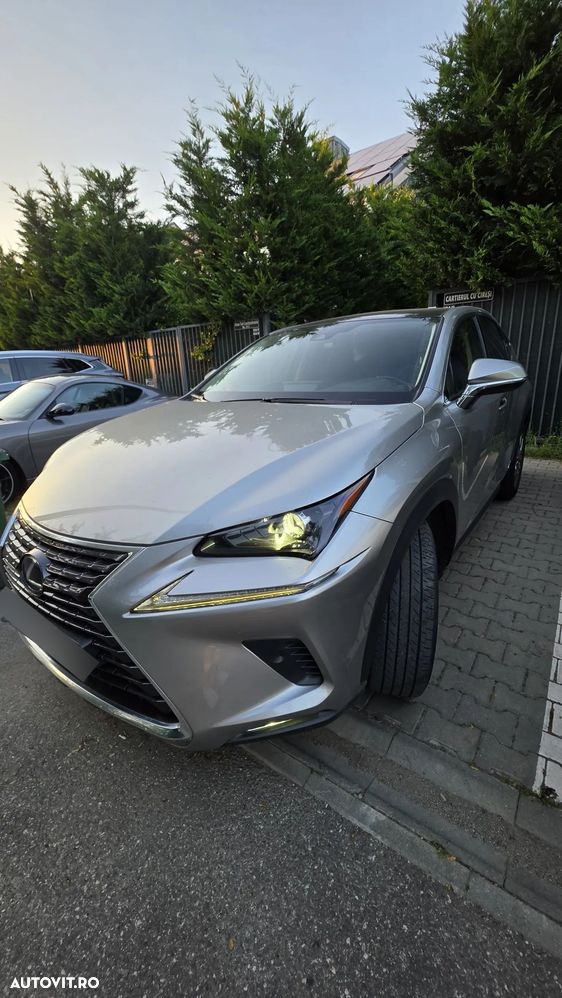 Lexus Seria NX - 1