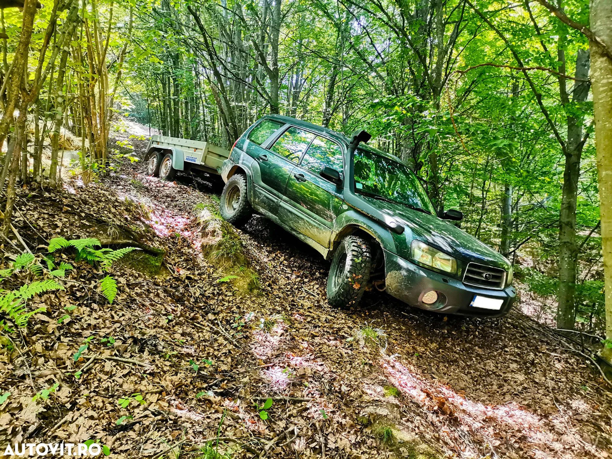 Subaru Forester 2.0 X Active - 1