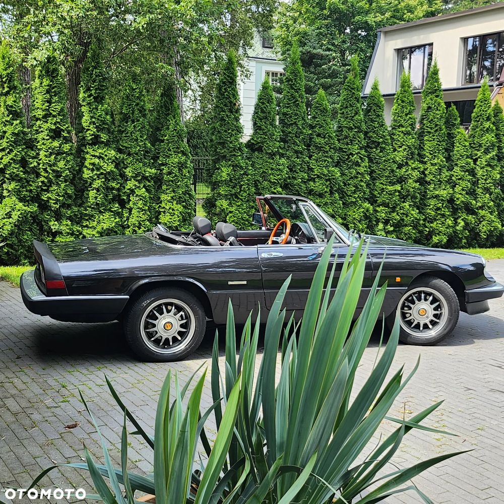 Alfa Romeo Spider - 6