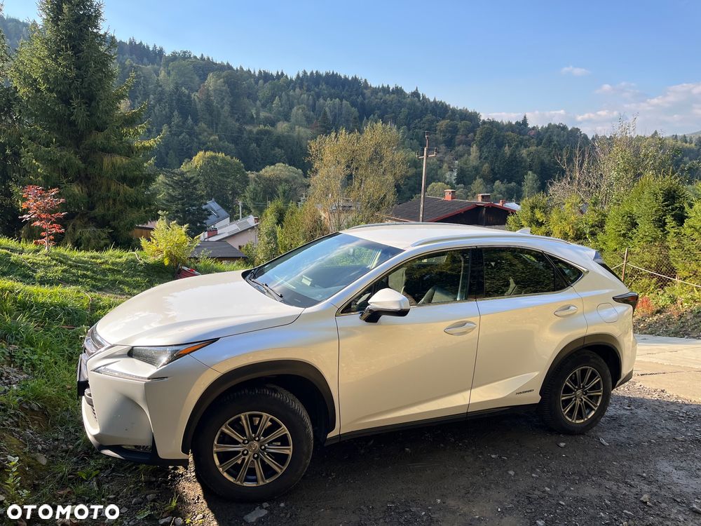 Lexus NX 300h Business Edition AWD - 2