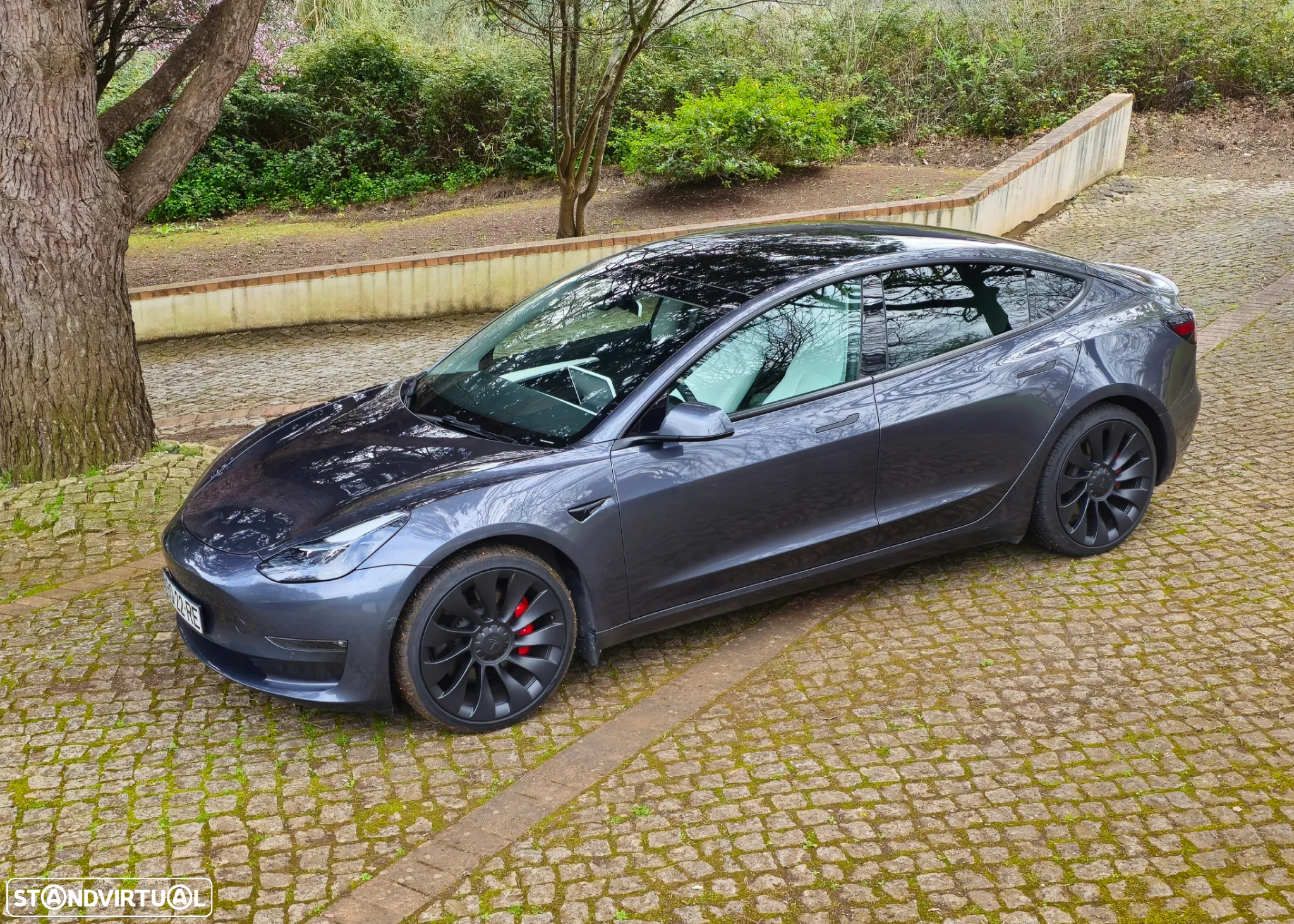 Tesla Model 3 Performance Dual Motor AWD - 2