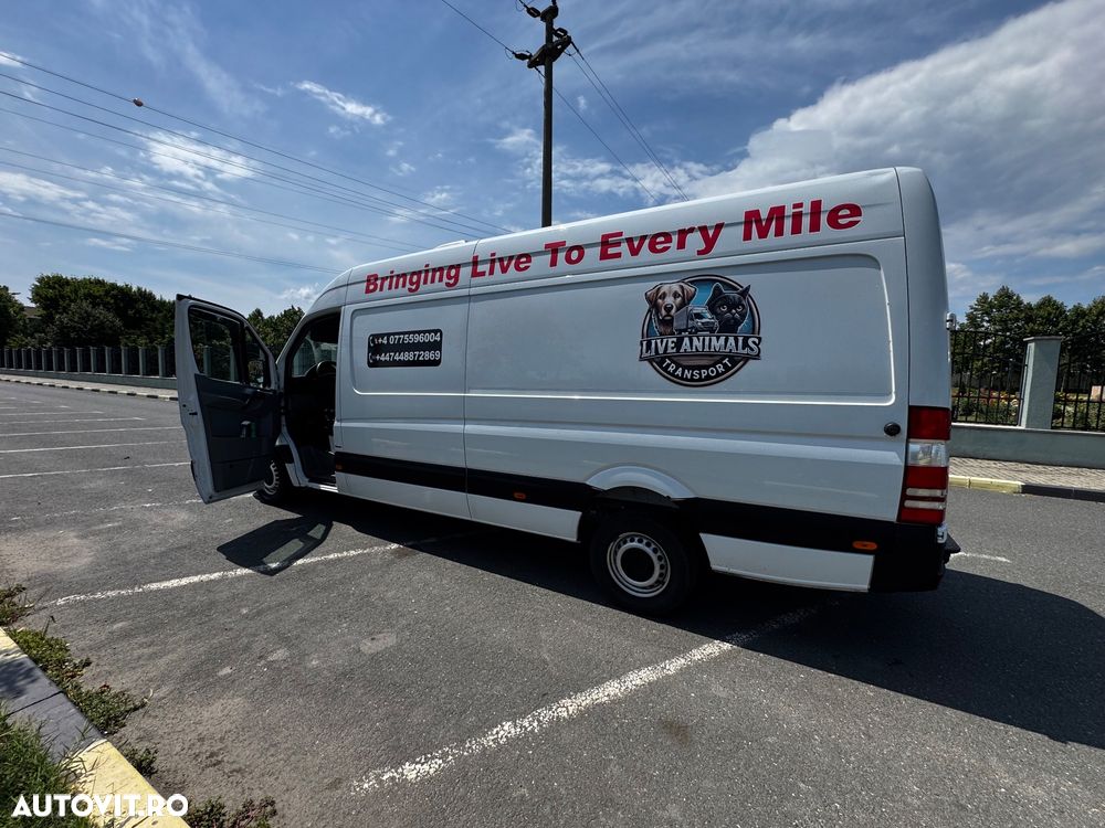 Mercedes-Benz Sprinter (BlueTec) 906.253 Aut. - 3