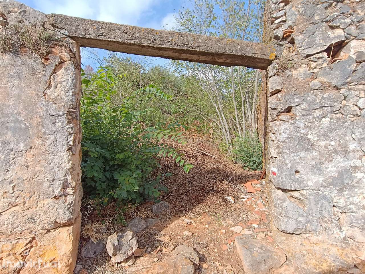 Ruína com Terreno em Pedrogão – Próximo às Grutas de Mira D’Aire - Grande imagem: 4/7