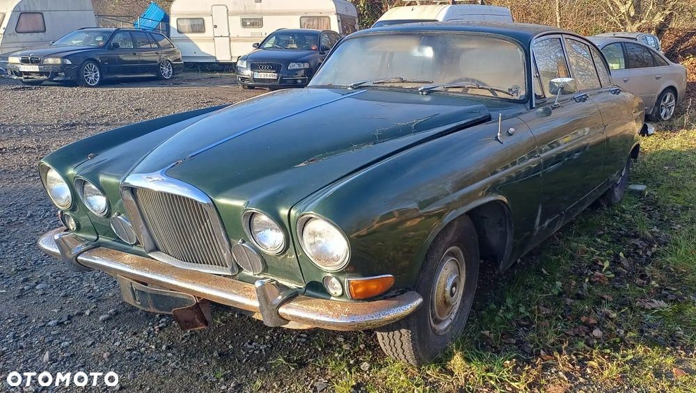 Jaguar Inny - 8