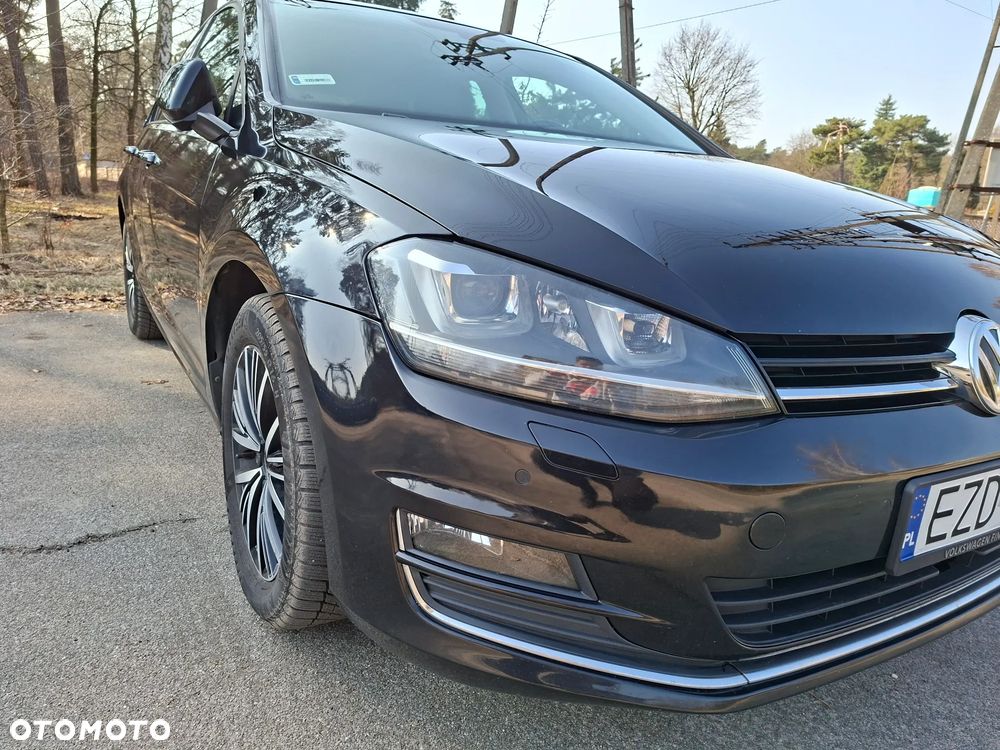 Volkswagen Golf 1.6 TDI BlueMotion Technology DSG Allstar - 1