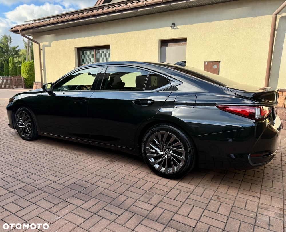 Lexus ES 300h Omotenashi - 4