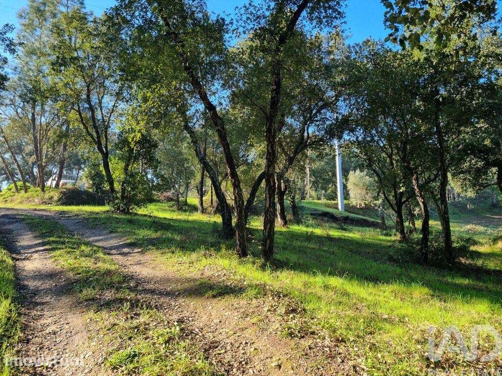 Terreno para construção em Poiares - Grande imagem: 2/40