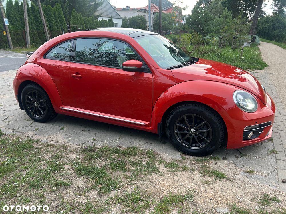 Volkswagen Beetle - 40