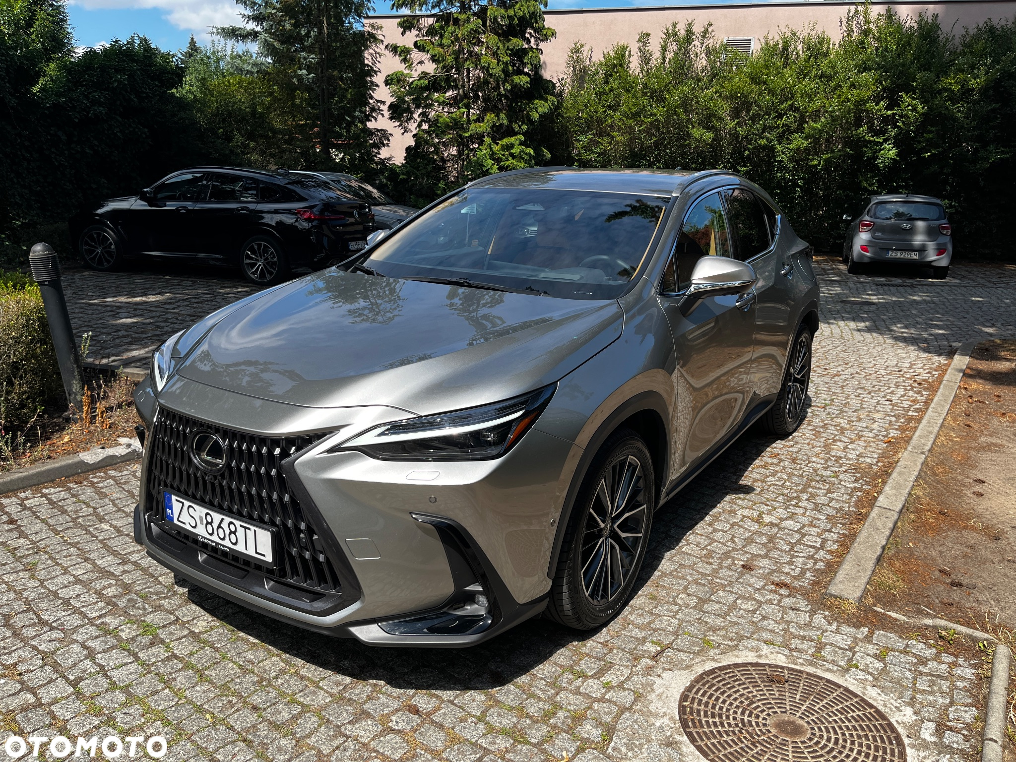 Lexus NX 350h Omotenashi AWD - 9