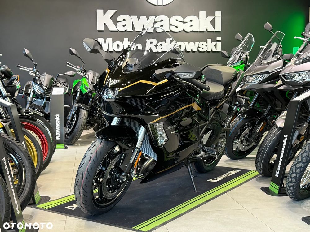 Kawasaki Ninja H2 SX - 13