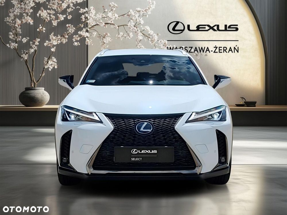 Lexus UX 250h GPF F Sport Edition AWD - 10