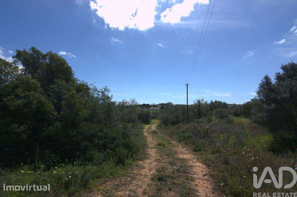 Terreno para construção em Almancil de 300,00 m2 - Grande imagem: 4/5