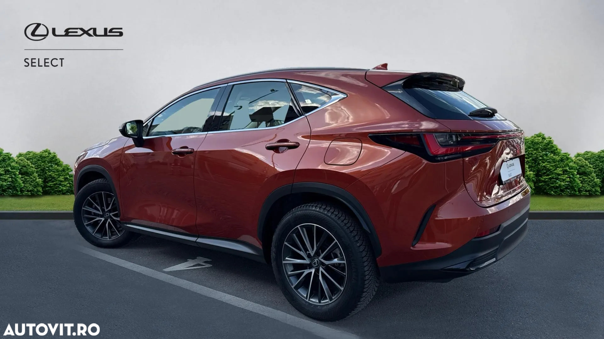 Lexus Seria NX 350h AWD CVT HEV Business - 4