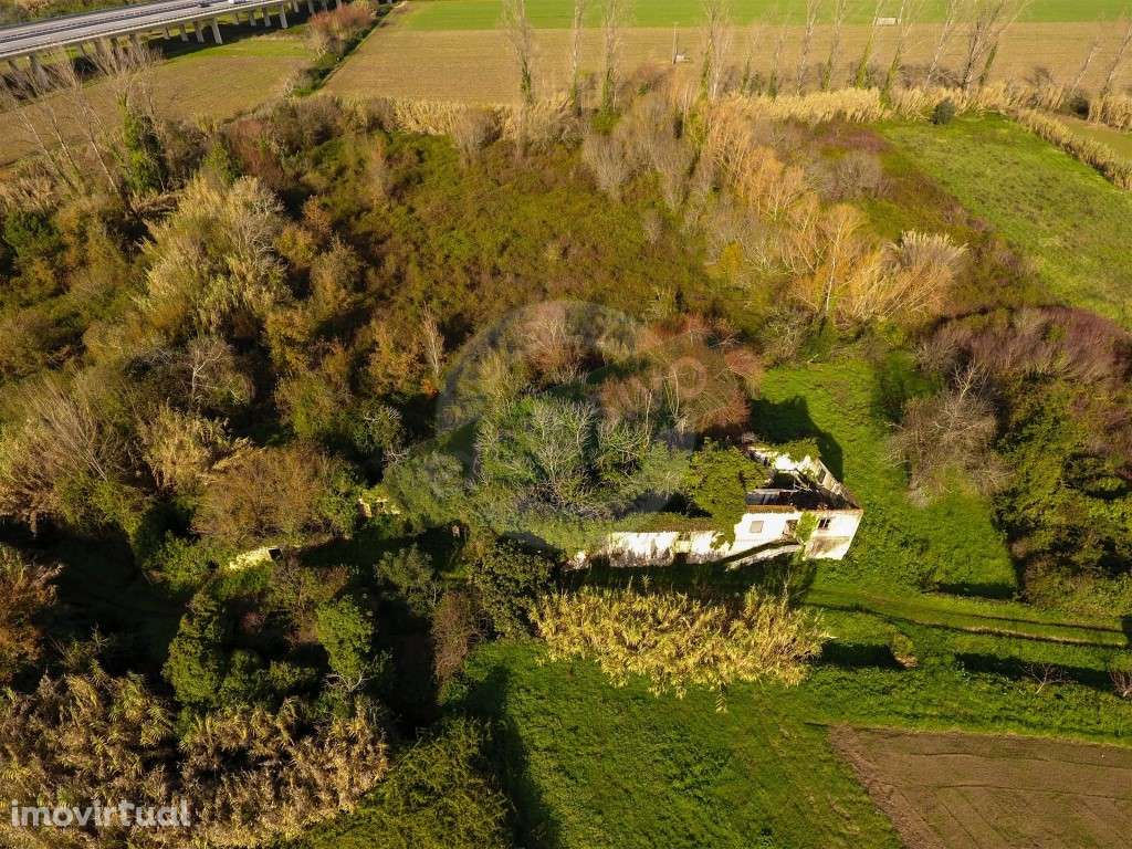 Quinta!! Perto de Coimbra! - Grande imagem: 3/21