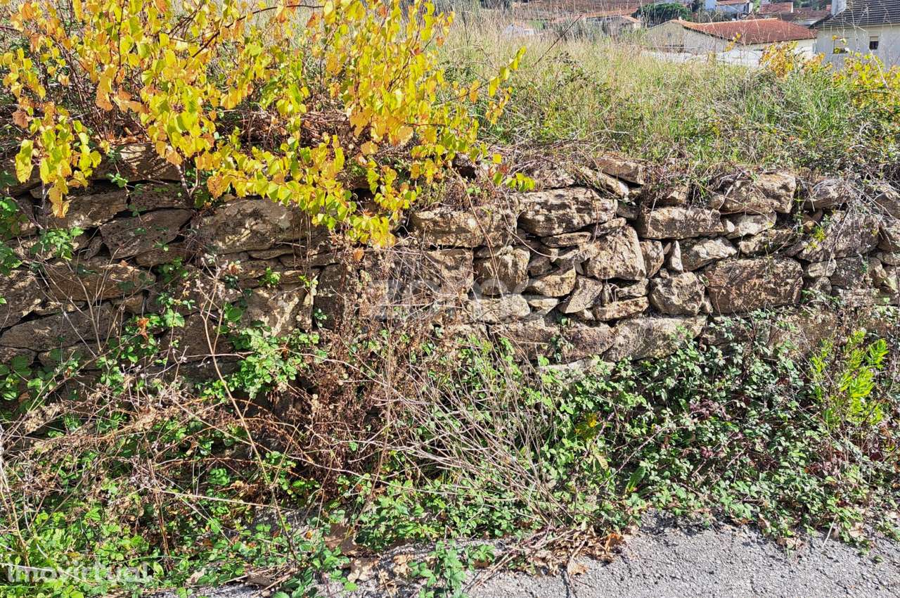 Terreno Urbanizável nas Alcanadas -Batalha - Grande imagem: 3/35