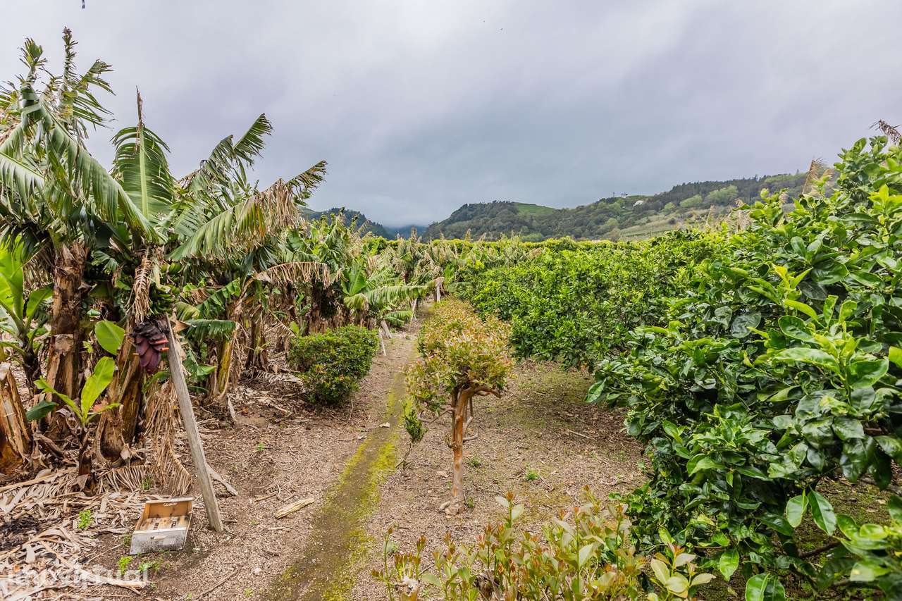 Terreno Rústico - Vila Franca do Campo - Grande imagem: 3/12