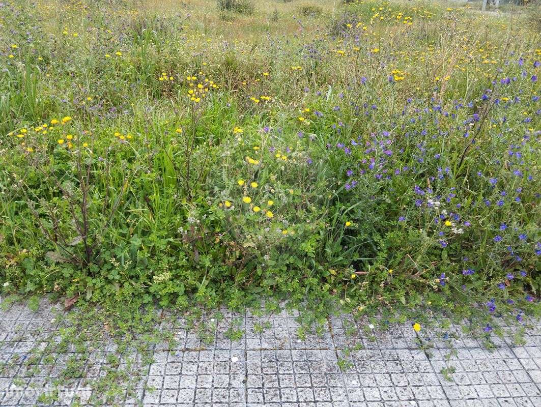 Terreno  para venda - Grande imagem: 2/3