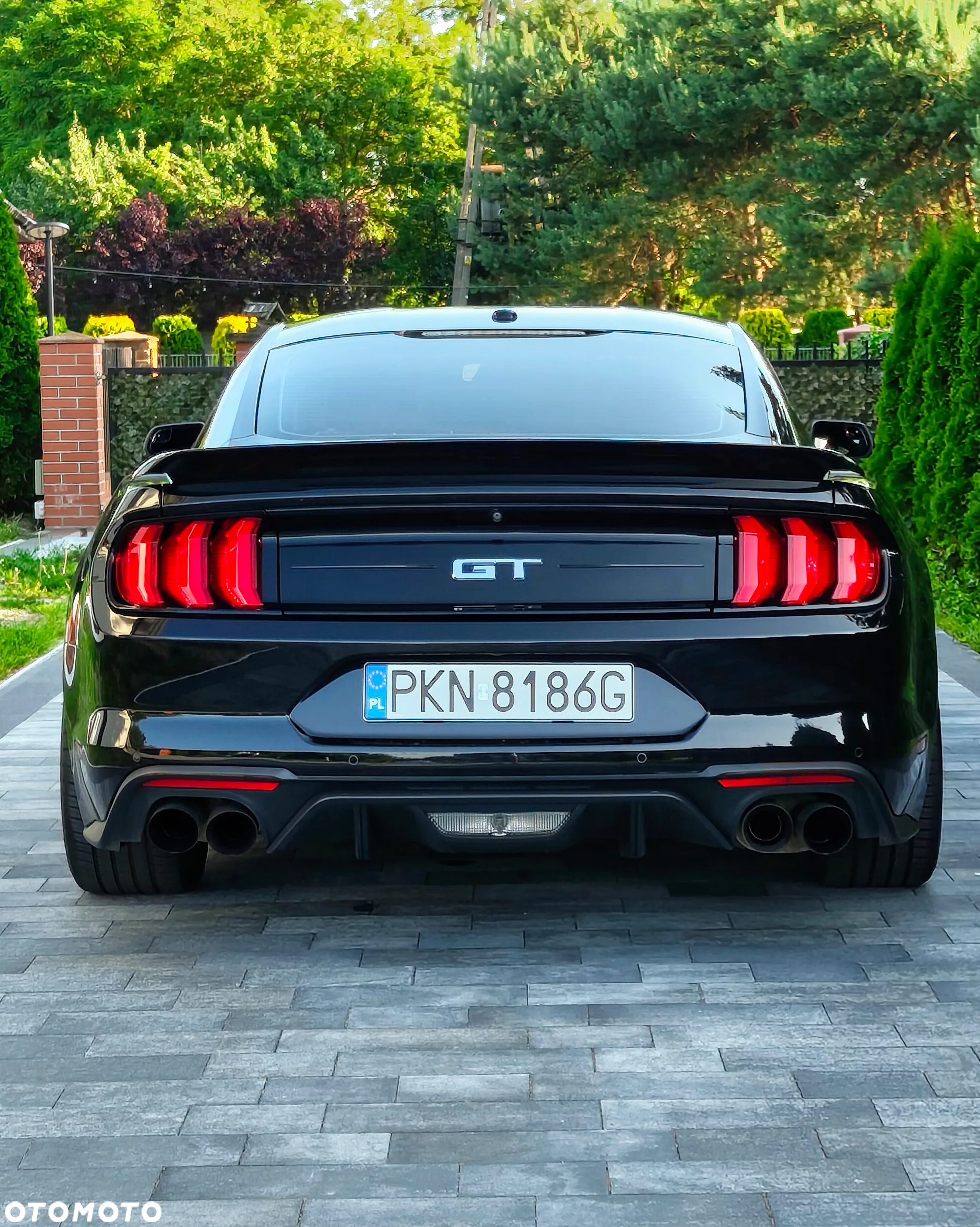 Ford Mustang 5.0 V8 GT - 8