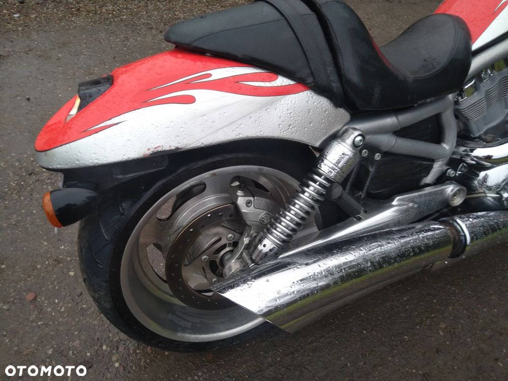 Harley-Davidson Softail V-Rod - 13