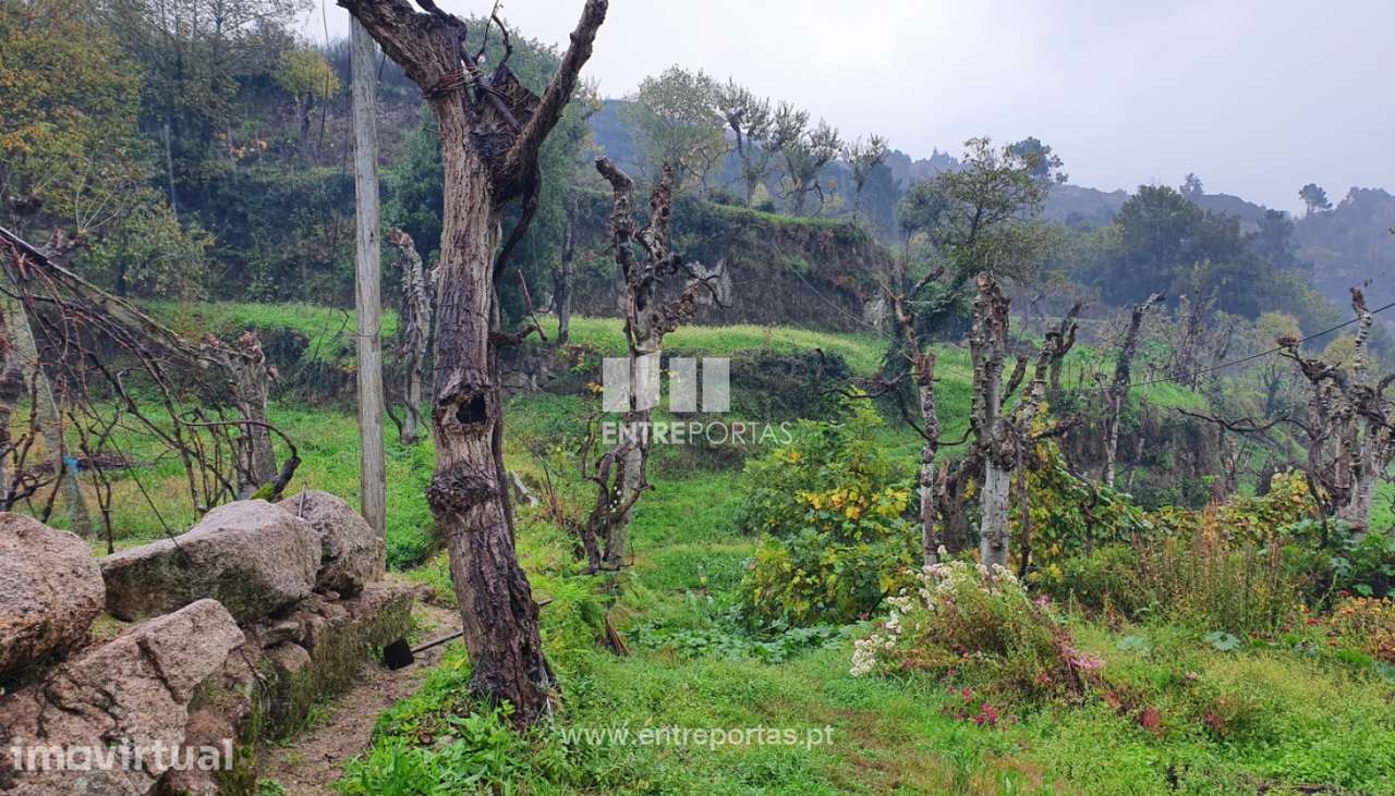 Venda de Terreno com 20500m2, Soalhães, Marco de Canaveses - Grande imagem: 3/30