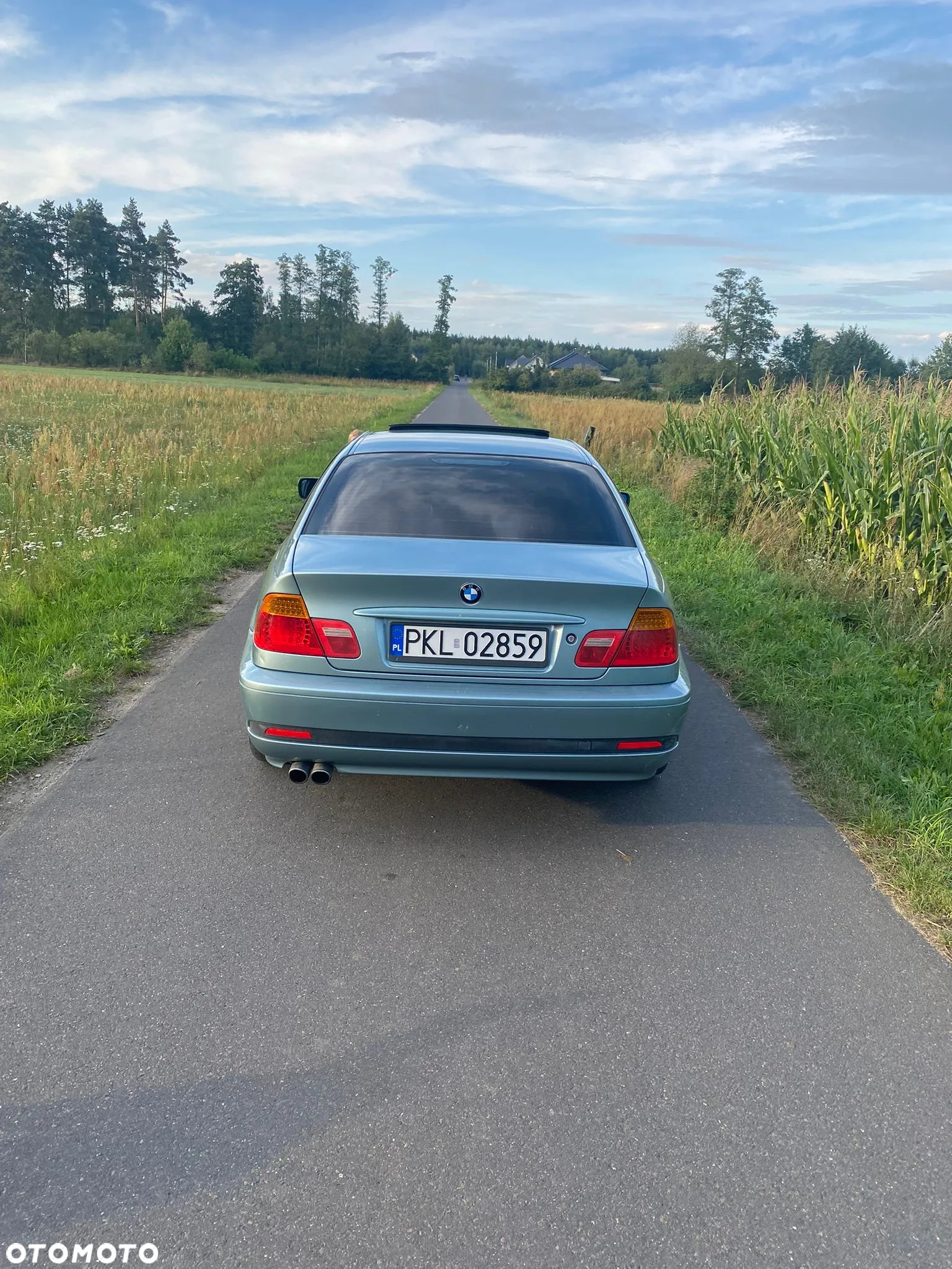 BMW Seria 3 330 Ci - 13
