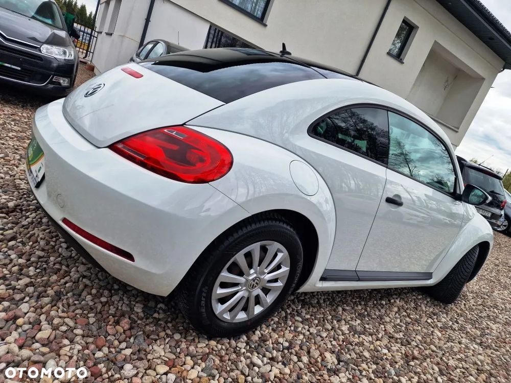 Volkswagen Beetle - 6