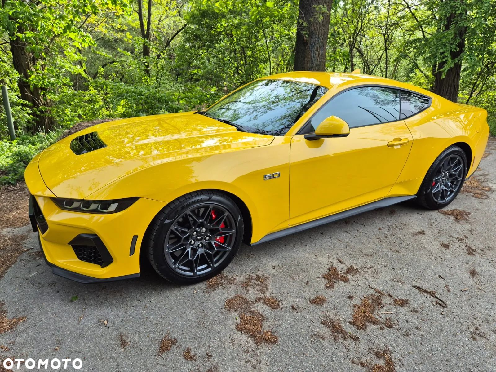 Ford Mustang Fastback 5.0 Ti-VCT V8 GT - 1