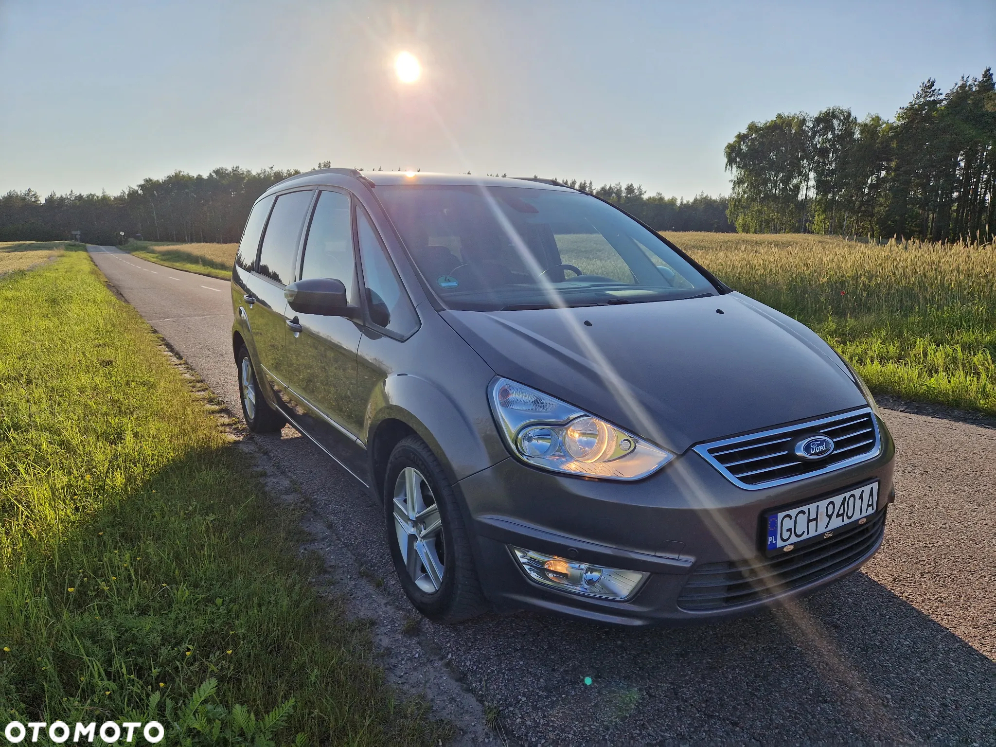 Ford Galaxy 2.0 TDCi Platinium X (Ghia) - 13