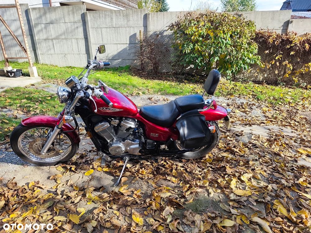 Honda Shadow - 3