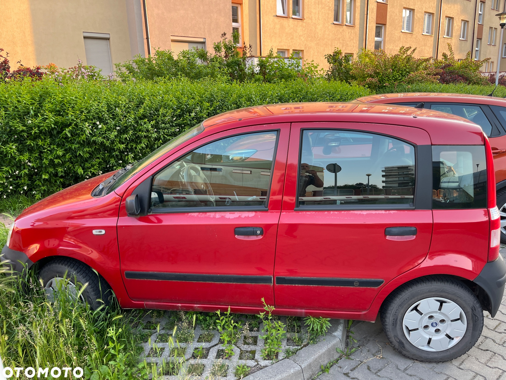 Fiat Panda - 2