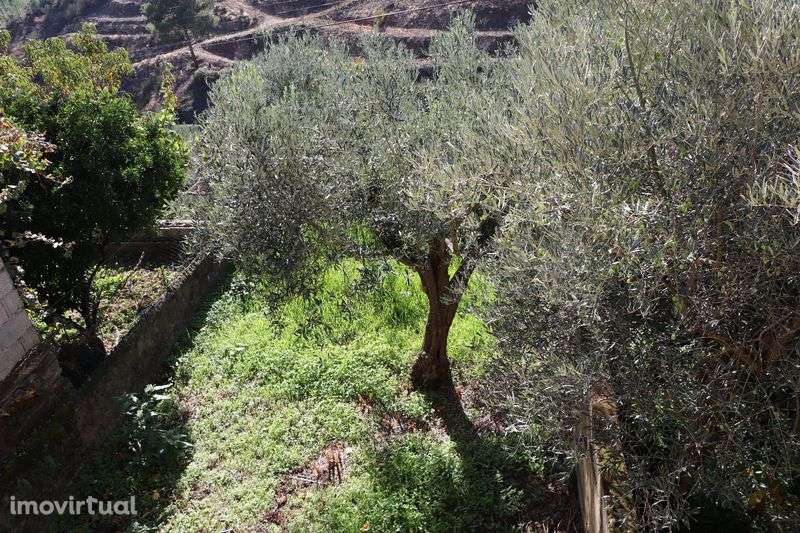 Vendo casa em aldeia tranquila - Grande imagem: 3/9