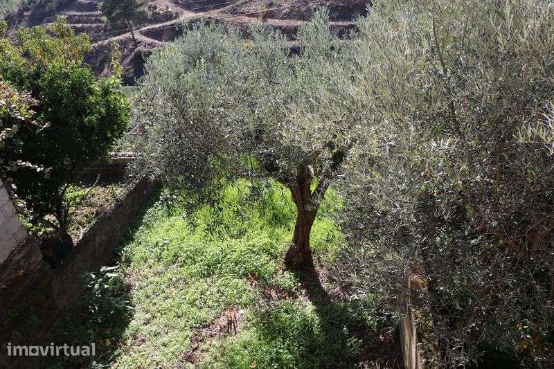 Vendo casa em aldeia tranquila - Grande imagem: 3/9