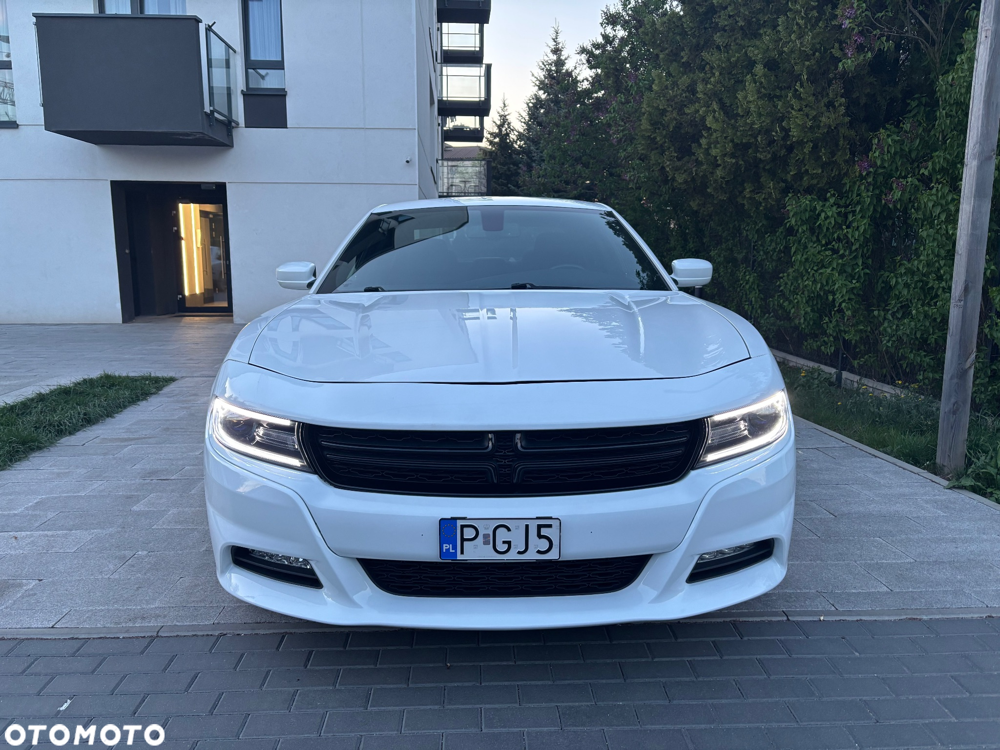 Dodge Charger Automatik Rally - 2