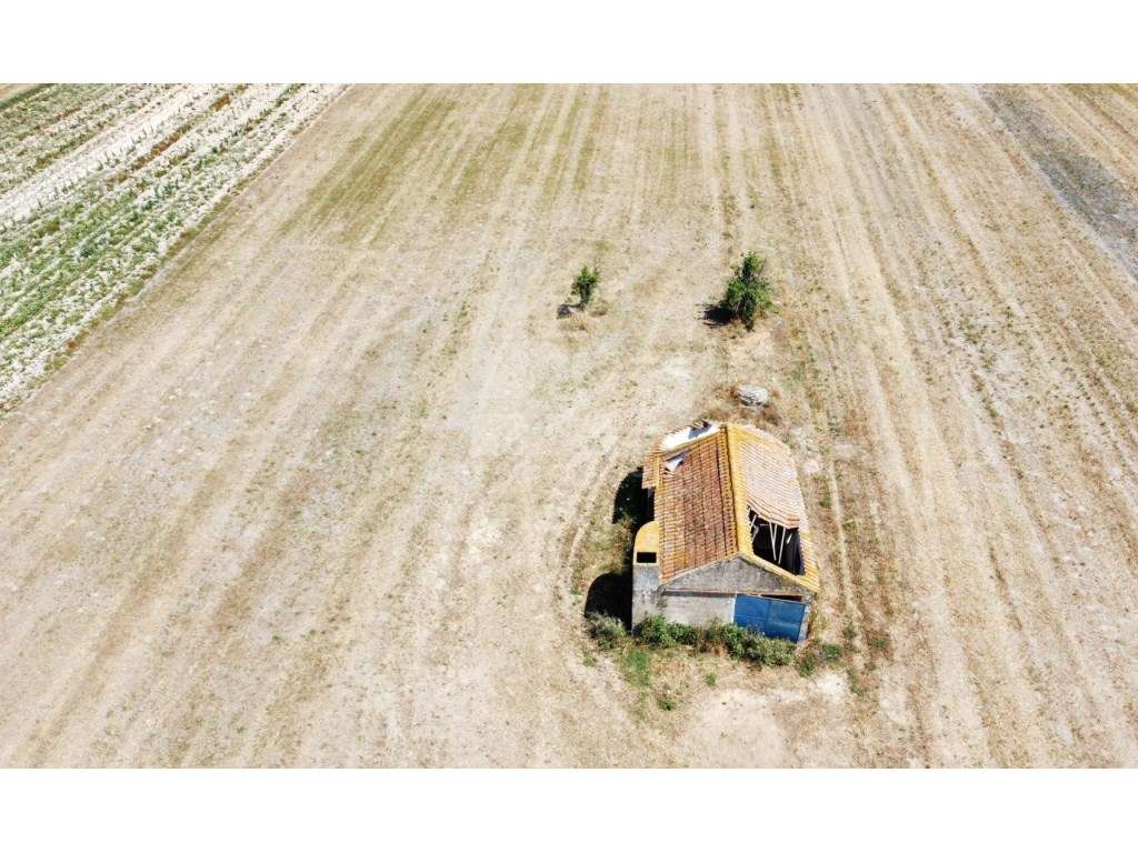 QUINTA EM ALMEIRIM - Grande imagem: 2/22