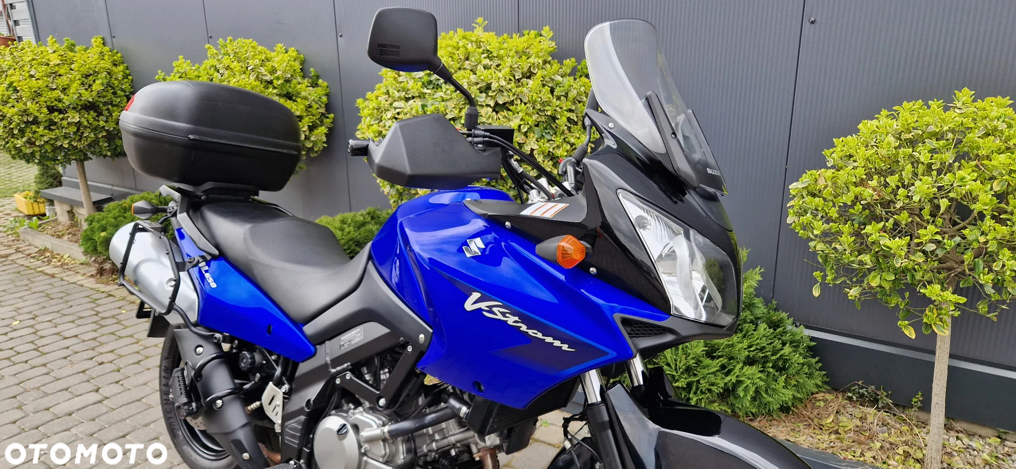 Suzuki DL - 22