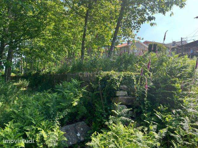 Terreno Rústico à Venda em Perozelo, Penafiel – Perfeito para Moradia - Grande imagem: 5/42