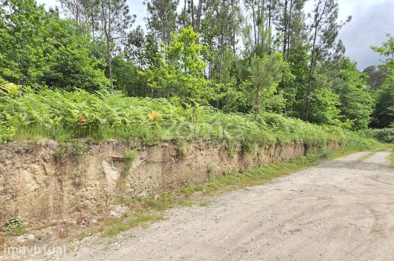 Terreno para construção- Fiscal, Amares - Grande imagem: 4/15