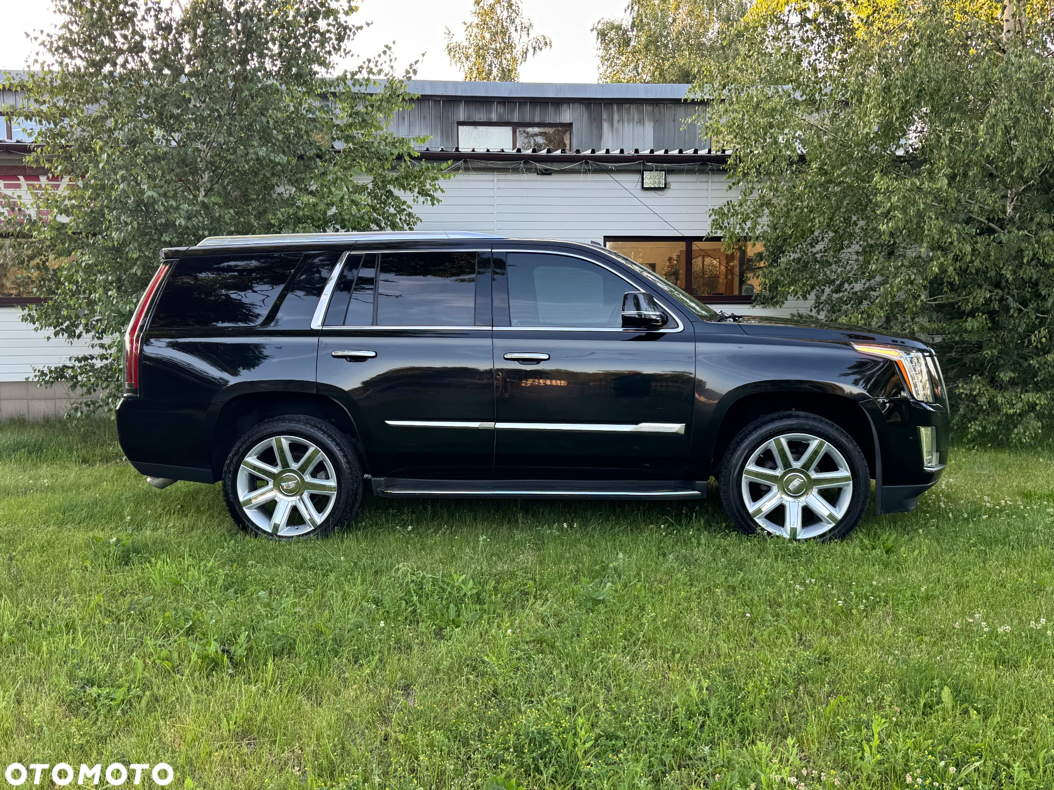 Cadillac Escalade 6.2 V8 AWD AT Premium - 5