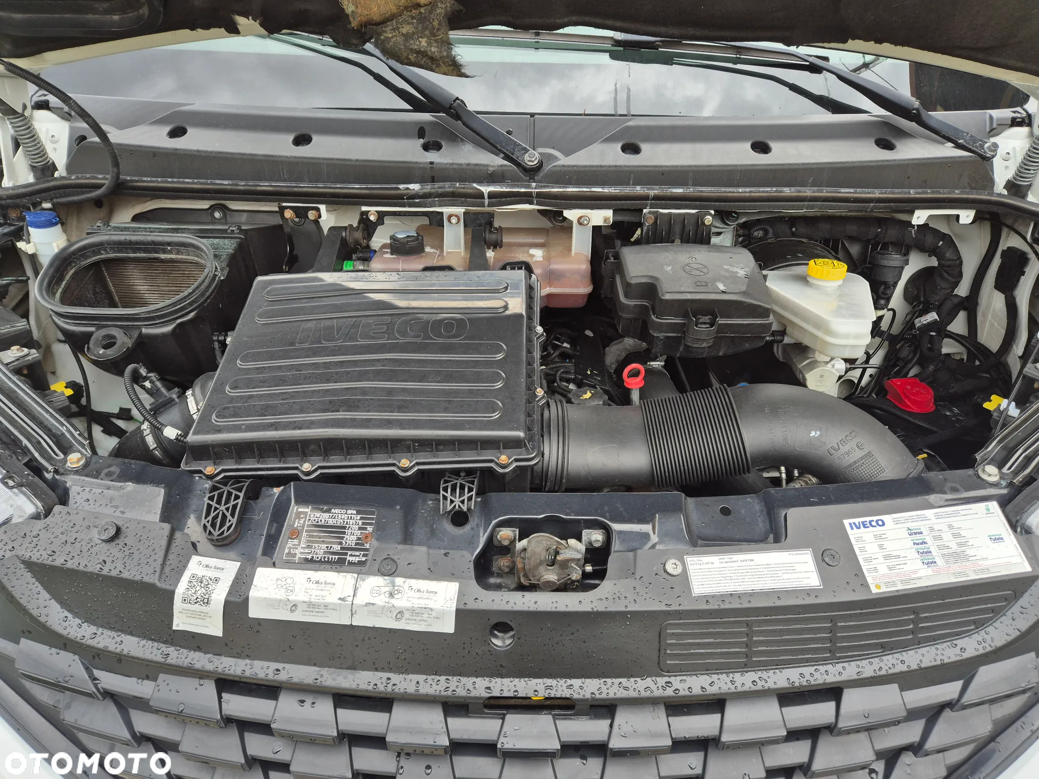 Iveco IVECO 72C18 3.0 70C18 IZOTERMA CHŁODNIA MROZNIA SPROWADZONY PODUSZKI - 20