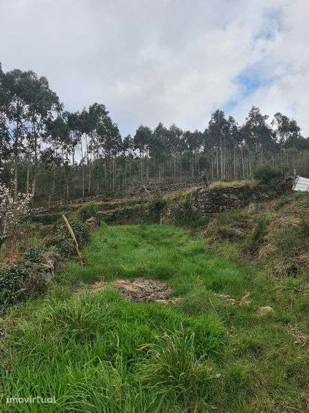 Quinta Agrícola a 5 minutos da A25 - Grande imagem: 5/8