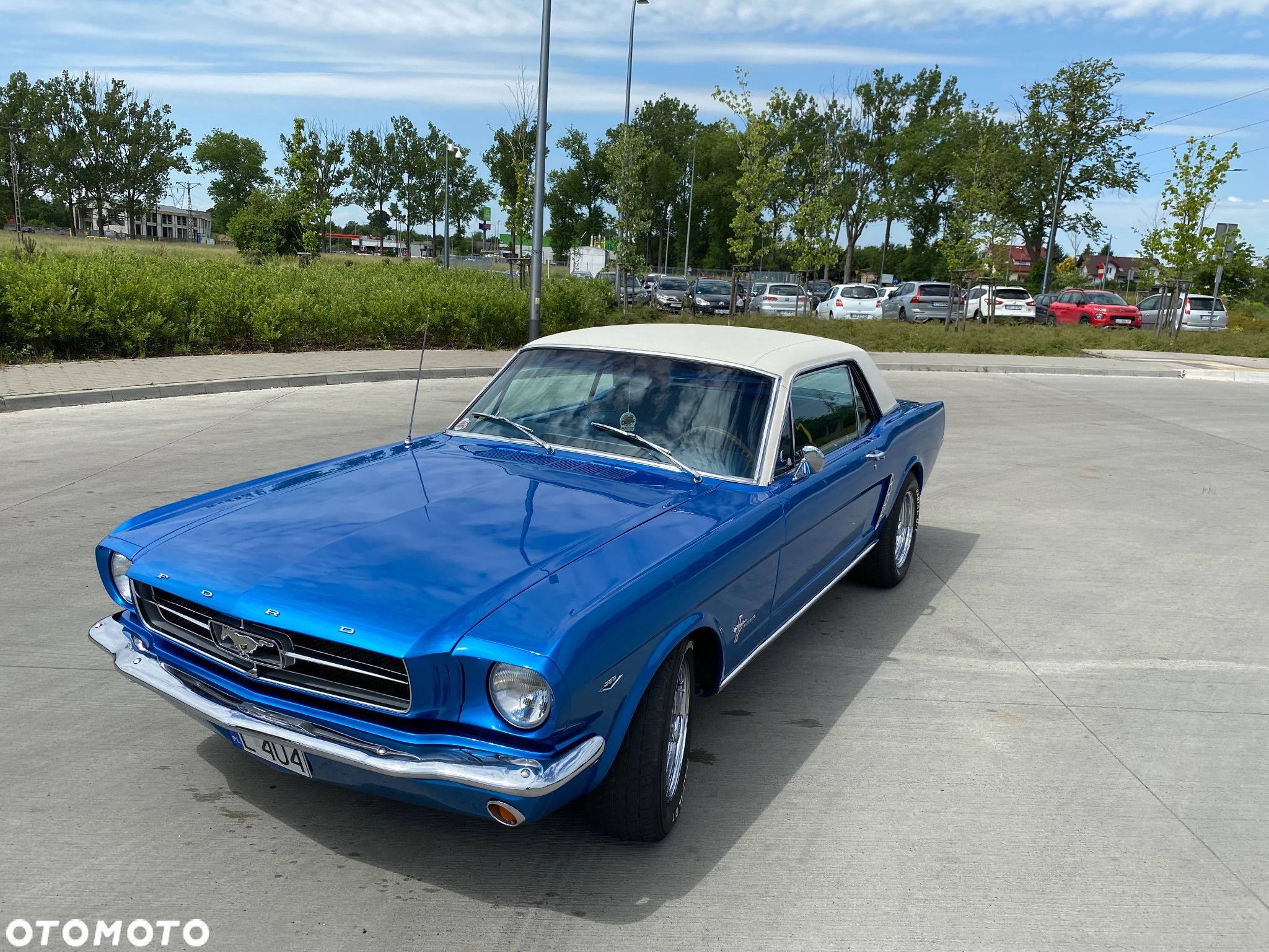 Ford Mustang - 1