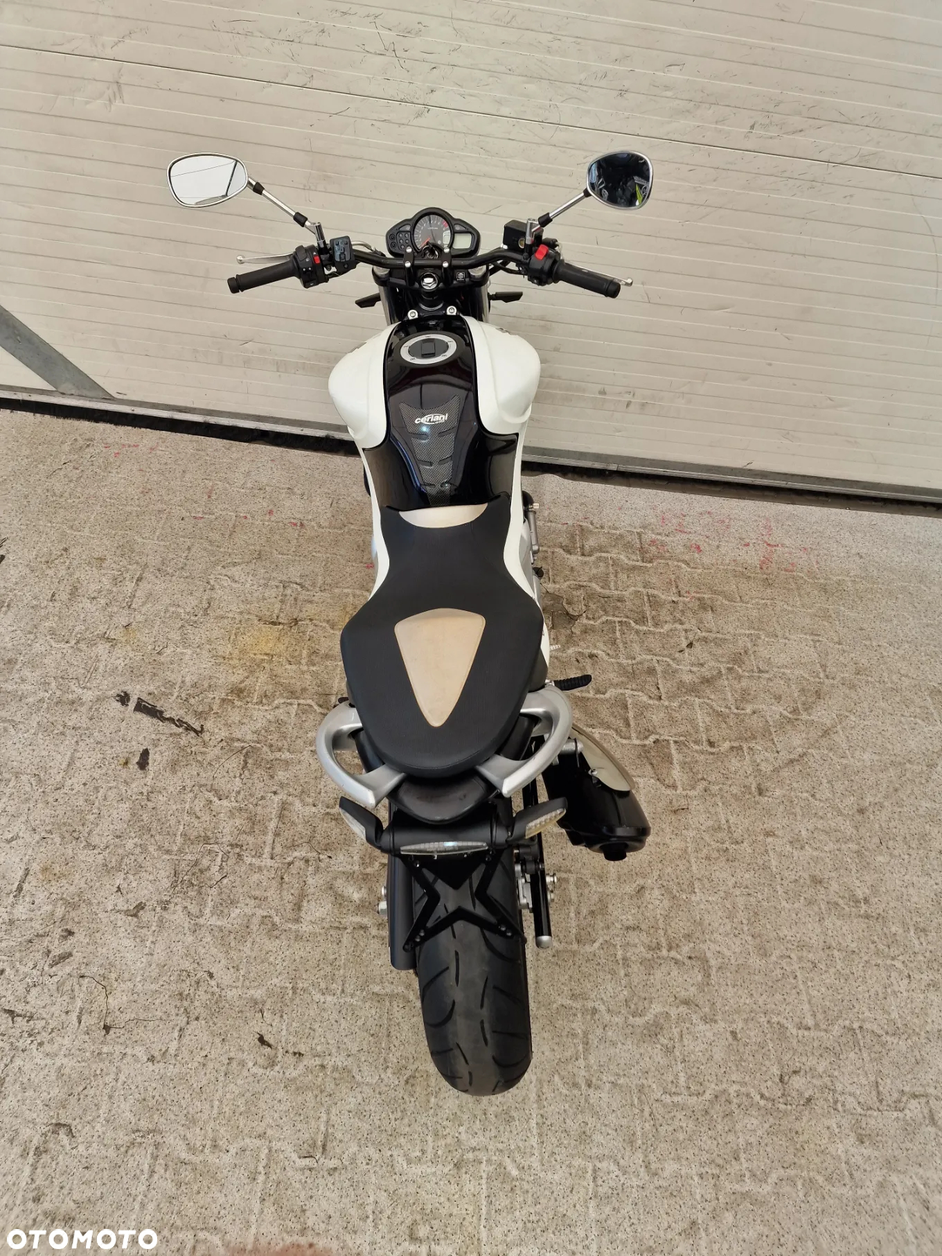 Suzuki Gladius - 27