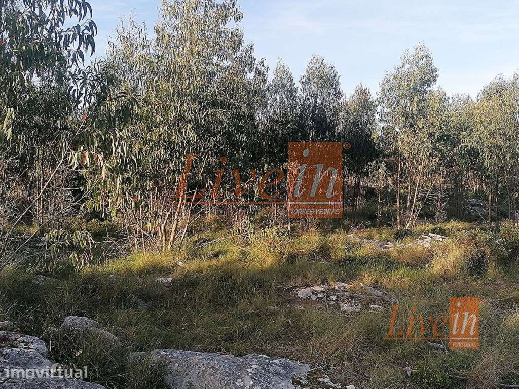 Terreno Rústico com 55680 m² na Lourinhã - Grande imagem: 4/11