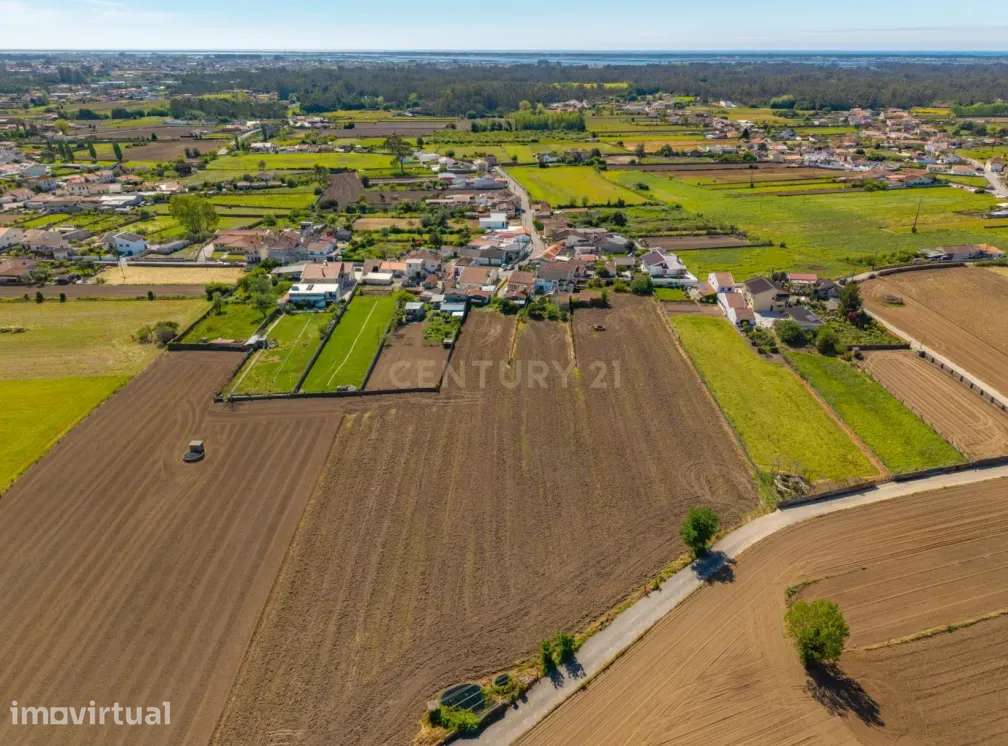 Terreno para construção com 1.981 m² em Estarreja, Aveiro - Grande imagem: 2/8