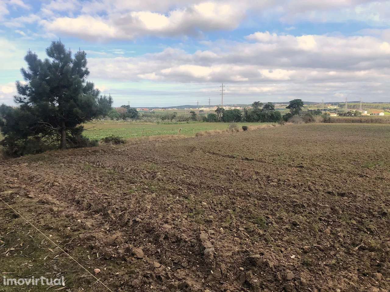 Terreno agrícola, indiviso, de 7000 m² na Vila de Atouguia Da Baleia - Grande imagem: 3/7