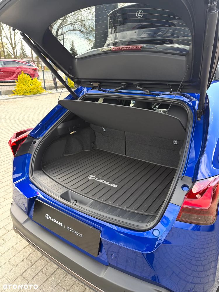 Lexus UX 300h F Sport Design - 10