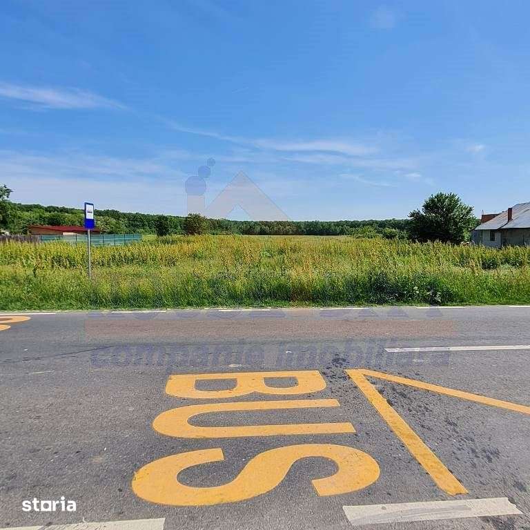 Vanzare teren Ciolpani, 1500 mp - Imagine principală: 3/8