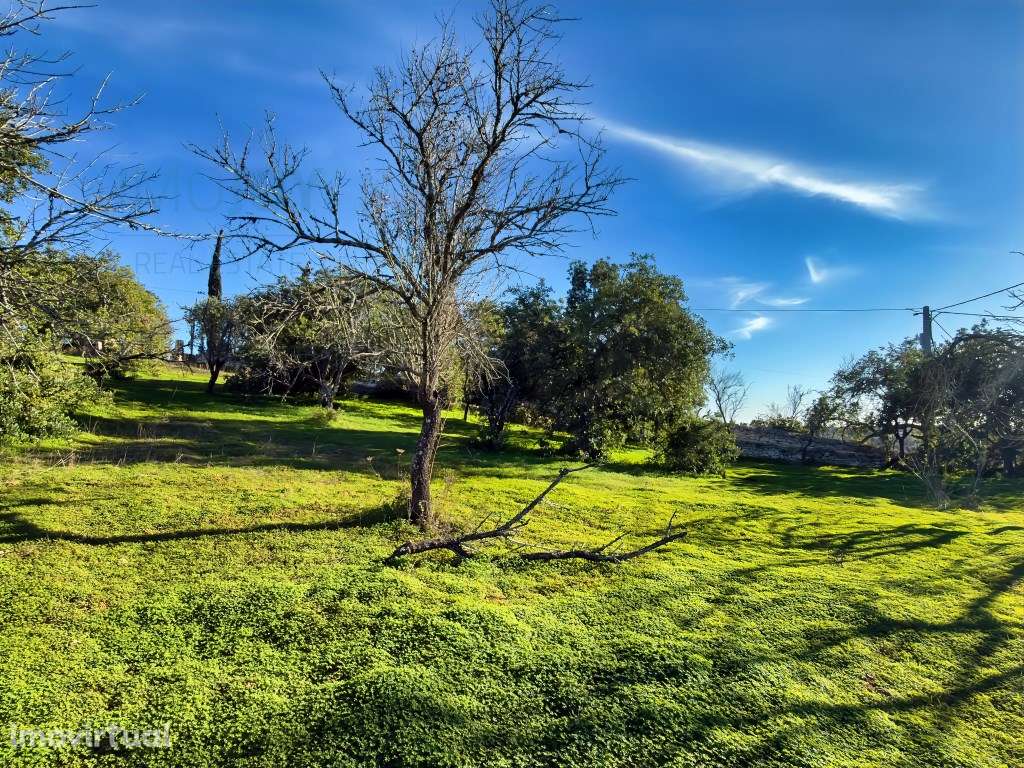 Terreno rústico com viabilidade de construção em Paderne - Grande imagem: 2/18