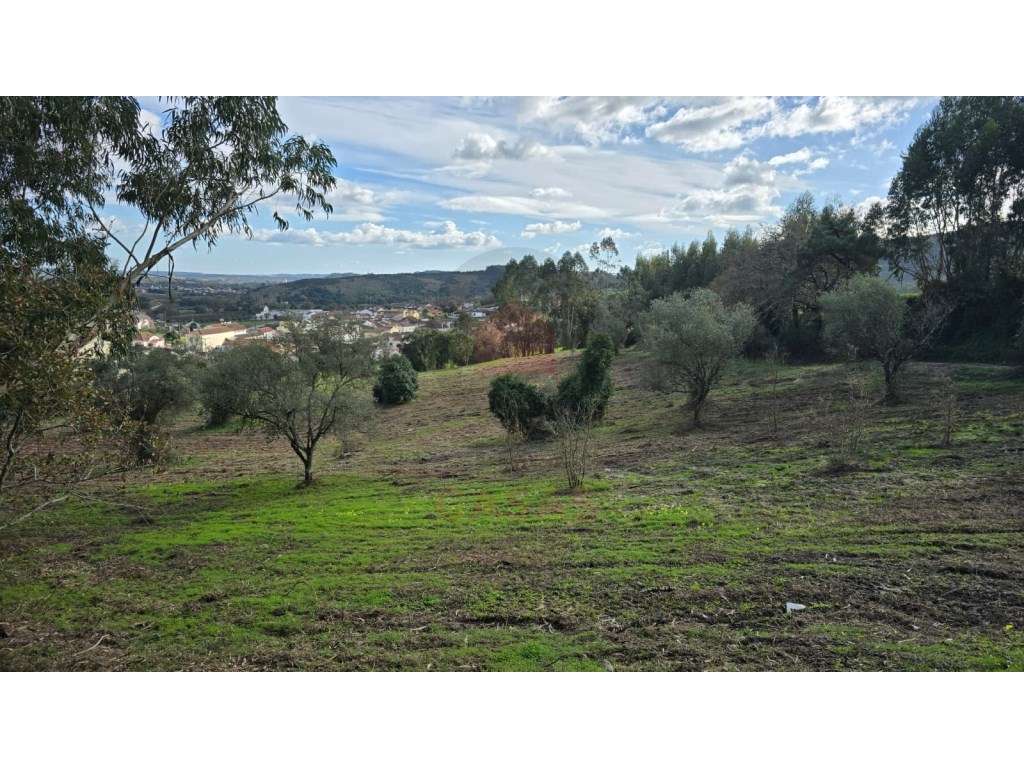 Terreno com viabilidade de construção em Cercal, Cadaval - Grande imagem: 4/19