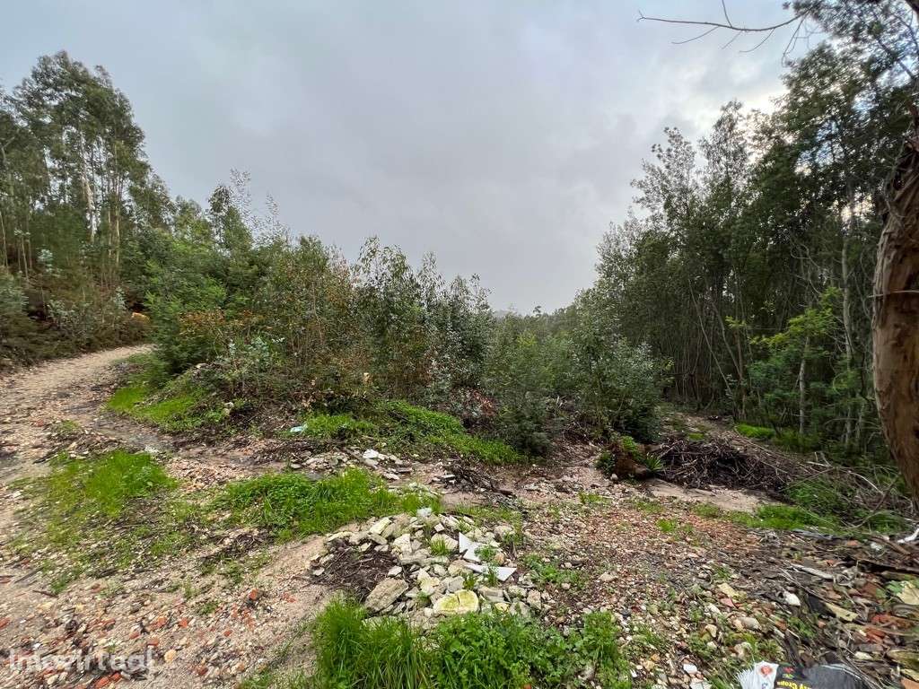 Terreno para construção em São Martinho do Bispo na zona do Avial - Grande imagem: 3/6